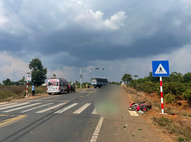 Gia Lai: Va chạm với xe tải, hai vợ chồng đi xe máy tử vong tại chỗ - Ảnh 1.
