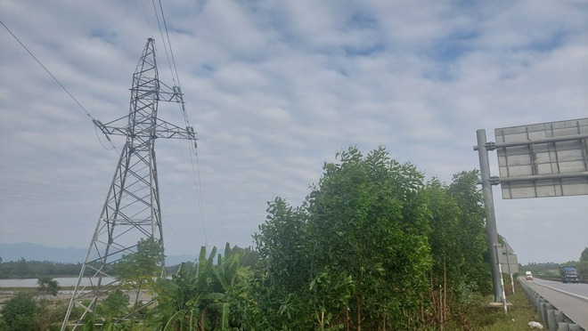 Giật mình với vi phạm 