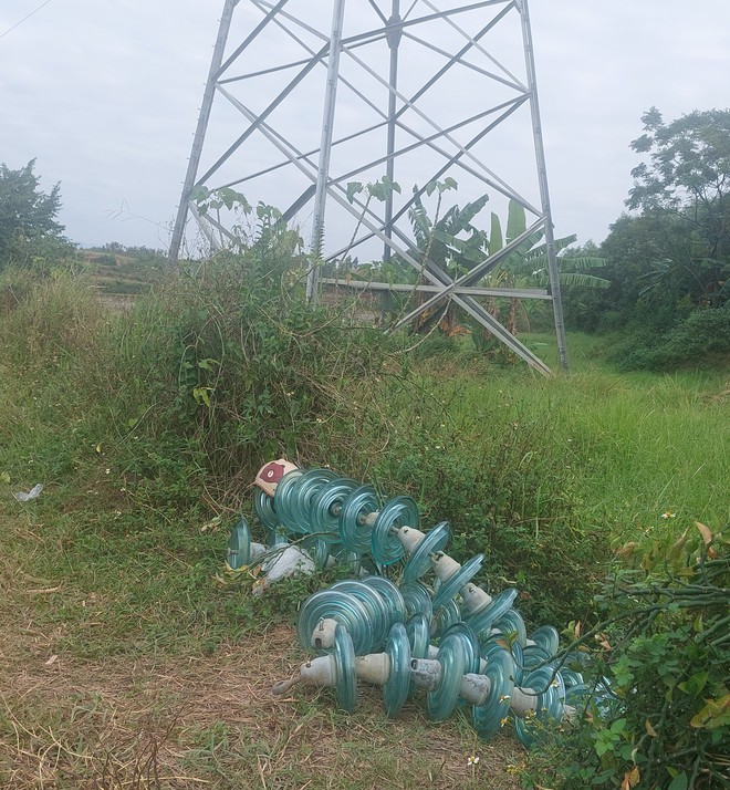 Giật mình với vi phạm 