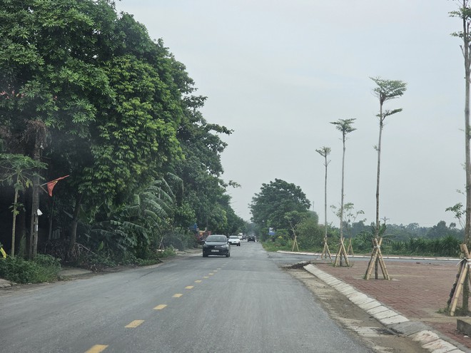 Bất ngờ với vi phạm tại Dự án khu đất đấu giá tại huyện Ân Thi, tỉnh Hưng Yên- Ảnh 8.