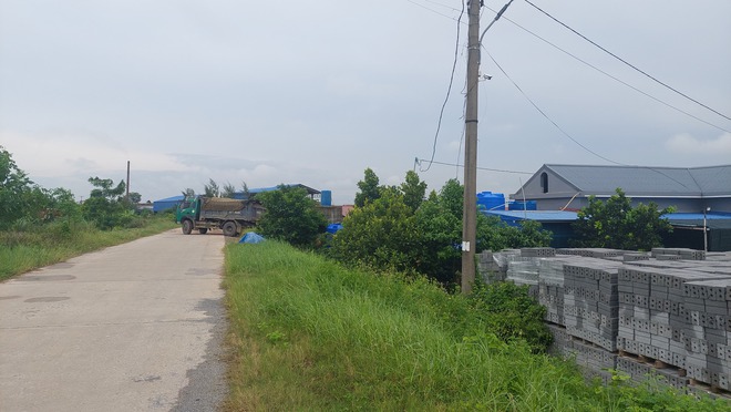 Nhiều cảng, bến thủy 