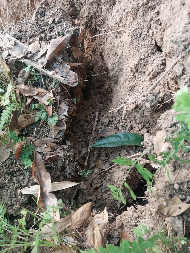 Cận cảnh sạt lở trên QL4D đoạn TP. Lào Cai- Ảnh 4.