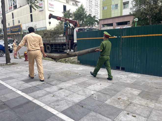 Hà Nội huy động tổng lực dọn dẹp đường phố sau bão số 3- Ảnh 14.