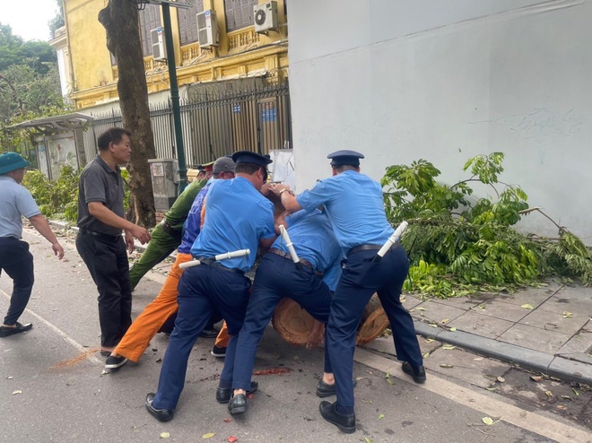 Hà Nội huy động tổng lực dọn dẹp đường phố sau bão số 3- Ảnh 6.