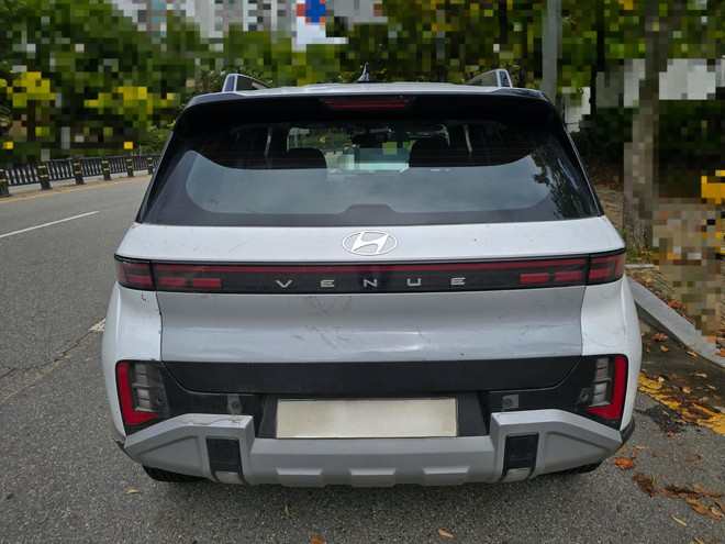 Ô tô điện ngập nước 3 ngày, tình trạng động cơ và pin được quan tâm - Ảnh 5.