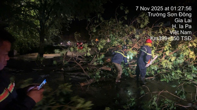 Video: Trắng đêm khắc phục hậu quả bão số 13, đảm bảo giao thông- Ảnh 6.