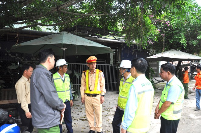 Giải toả hành lang an toàn đường Hồ Chí Minh qua tỉnh Quảng Nam - Ảnh 16.