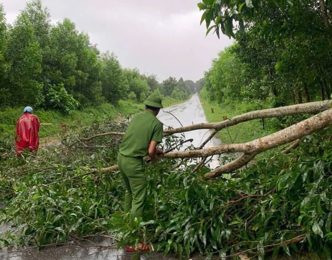 Quảng Trị: Giao thông tê liệt khi nhiều tuyến quốc lộ, tỉnh lộ ngập sâu, có đoạn tuyến ngập 2 - 4m - Ảnh 10.
