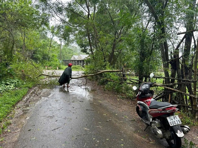 Quảng Trị: Giao thông tê liệt khi nhiều tuyến quốc lộ, tỉnh lộ ngập sâu, có đoạn tuyến ngập 2 - 4m - Ảnh 12.