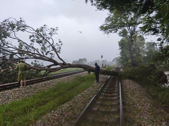 Gián đoạn vận tải đường sắt do bão số 10 (Bualoi) gây ra - Ảnh 2.