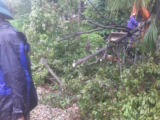 Gián đoạn vận tải đường sắt do bão số 10 (Bualoi) gây ra - Ảnh 3.