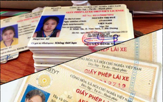 Hà Nội: Khuyến cáo gì việc cấp đổi GPLX từ bản giấy sang thẻ PET?