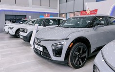 Tiêu thụ ô tô đạt đỉnh ở Việt Nam trong tháng 11/2025