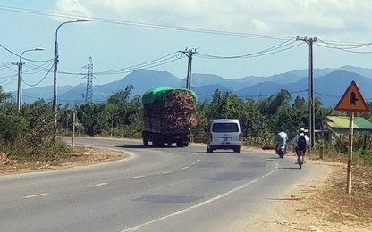 Khánh Hòa: Thống nhất đầu tư 268 tỷ đồng nâng cấp, cải tạo QL26
