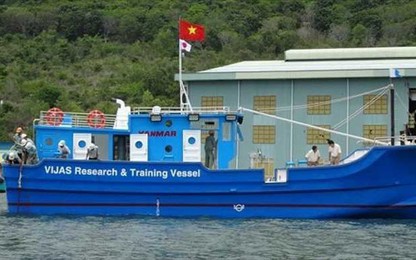 Những công nghệ mới nhất của máy tàu thủy Nhật Bản sắp được giới thiệu ở Hà Nội