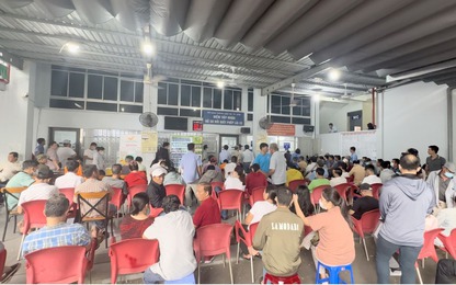 TP. HCM khuyến cáo người dân chưa phải đi đổi giấy phép lái xe sang thẻ PET