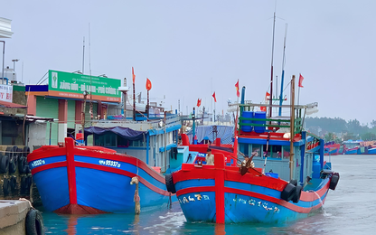 Bộ GTVT chỉ đạo ứng phó cơn Bão số 5