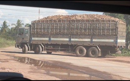 Dàn xe có dấu hiệu quá khổ, quá tải vô tư tung hoành "qua mặt" lực lượng CSGT ở Đắk Lắk