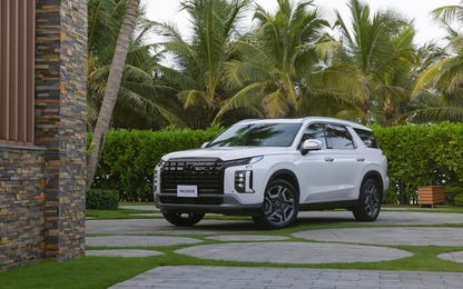 Những mẫu ô tô ngược chiều kênh giá