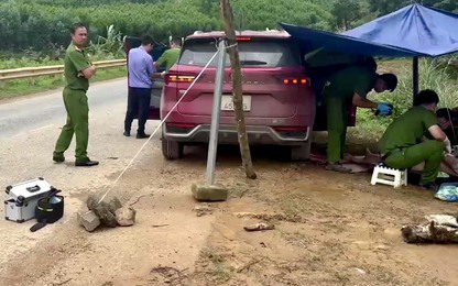 Vụ ôtô con đâm vào hộ lan khiến 5 người thương vong ở Đắk Lắk: Tài xế dương tính với ma túy