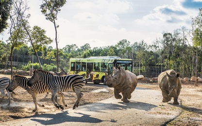 Hấp dẫn chuỗi hoạt động kích cầu du lịch Phú Quốc