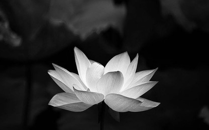 Nguyên Thứ trưởng Bộ GTVT Nguyễn Tường Lân từ trần