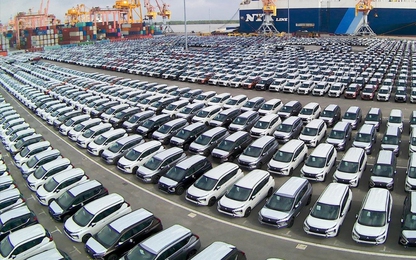 Vào chặng nước rút, ô tô nhập khẩu vẫn "dò dẫm" về Việt Nam