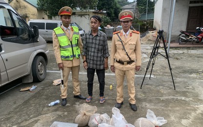 Kiểm tra xe khách, CSGT Quảng Trị phát hiện nhiều cá thể tê tê quý hiếm