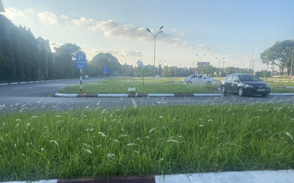 Thái Nguyên: Kiểm tra công tác đào tạo, sát hạch lái xe xong trước 15/3/2023