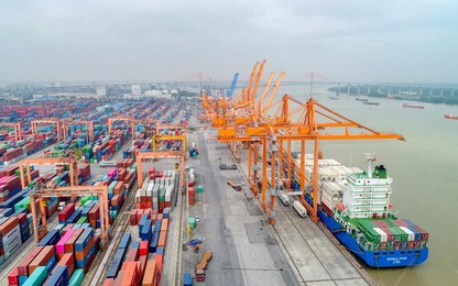 "Đánh thức" cảng biển Việt Nam – kỳ cuối: Đột phá với mô hình chính quyền cảng biển vùng miền?