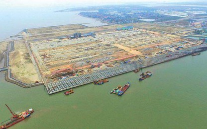 Thủ tướng chấp thuận chủ trương đầu tư Dự án bến số 7, số 8 ở Lạch Huyện hơn 12.000 tỷ