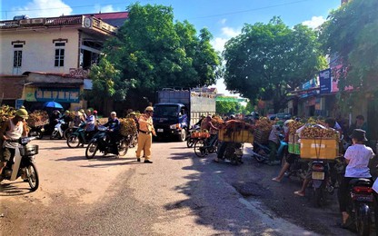 Bắc Giang sẵn sàng bảo đảm trật tự ATGT cho vụ thu hoạch vải thiều sớm