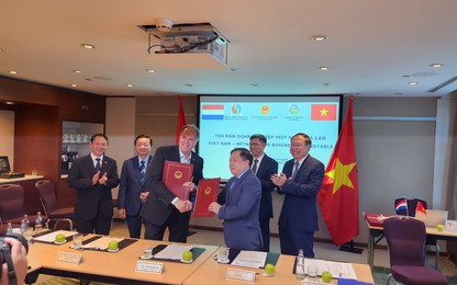 Cục Hàng hải VN ký hợp tác với STC Next về đào tạo nguồn nhân lực hàng hải