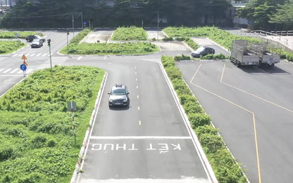 Bình Dương lý giải việc ngừng tổ chức các kỳ thi sát hạch lái xe ôtô