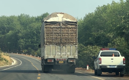 Xe tải chở mì có dấu hiệu quá tải, quá khổ dễ dàng "thông chốt" CSGT Gia Lai