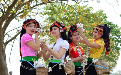 Điện Biên siết chặt hoạt động vận tải phục vụ Năm du lịch Quốc gia và Lễ hội Hoa Ban