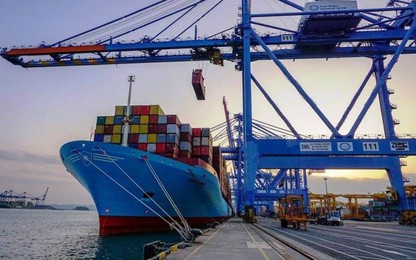 "Ma trận" phụ phí hãng tàu ngoại áp cho chủ hàng Việt - Kỳ 2: Quy định bất cập khiến chủ hàng Việt bị ép