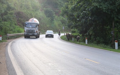 Bổ sung 6 điểm đấu nối trên 3 tuyến quốc lộ ở Sơn La