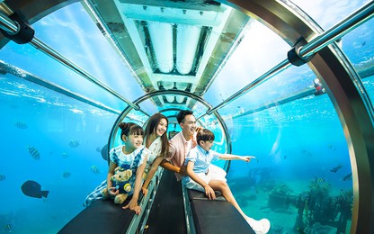 Trình Chính phủ nghị định quản lý tàu lặn và tuyến vận tải hãng tàu nước ngoài trong tháng 8/2024