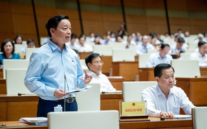 Phó Thủ tướng nêu yêu cầu tiên quyết trong sử dụng vật liệu cát biển