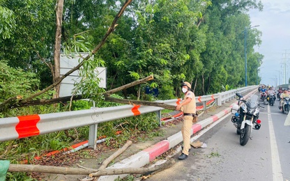 Cây xanh đổ, CSGT cầm cưa tất bật dọn dẹp đảm bảo ATGT
