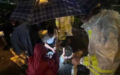 Video CSGT Hà Nội cứu kịp thời 1 lái xe bị cây đổ đè ôtô