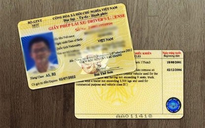 Rủi ro khó lường khi cho người khác thuê giấy phép lái xe phạt nguội