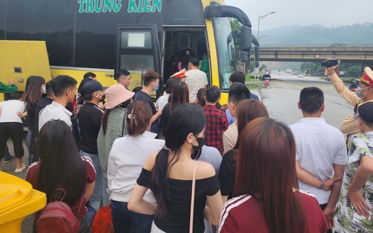 Hà Nội thu hồi phù hiệu gần 100 ô tô khách