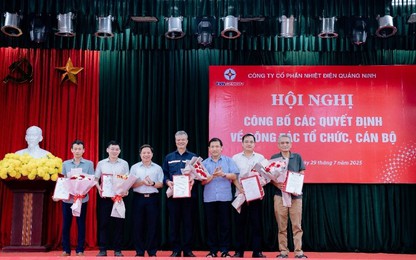 Công ty CP Nhiệt điện Quảng Ninh: Đổi mới tổ chức, kiện toàn cán bộ, tinh gọn bộ máy