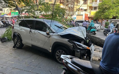 Từ vụ ô tô tông liên hoàn, tâm trạng lái xe quan trọng thế nào?