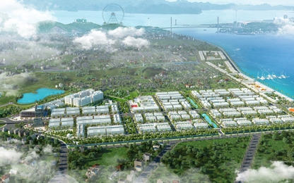 Một năm thăng hoa của bất động sản Hạ Long