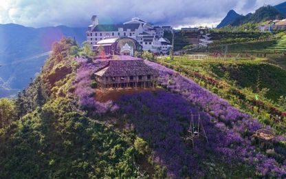 Bamboo Airways liên tục tung combo bay– nghỉ 5 sao trọn gói cho thượng khách