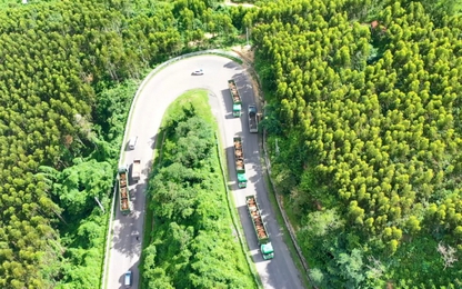 THILOGI góp phần mang nông nghiệp Việt Nam ra thị trường thế giới