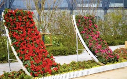 Du khách, phật tử thưởng ngoạn, chiêm bái Fansipan dịp Tết Nhâm Dần